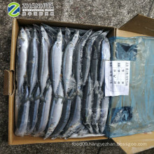 Frozen Pacific Saury #1 #2 #3 Taiwan